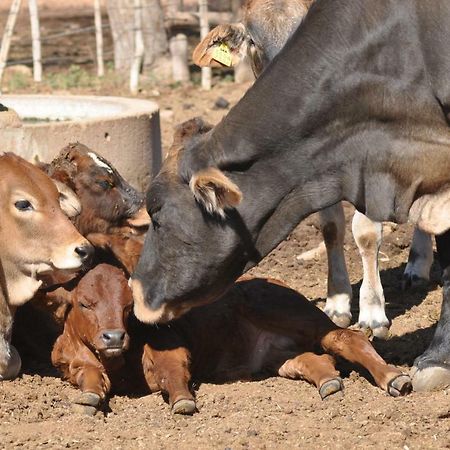Haasenhof Gastefarm Βίλα Okahandja Εξωτερικό φωτογραφία