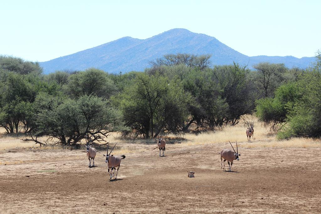 Haasenhof Gastefarm Βίλα Okahandja Εξωτερικό φωτογραφία
