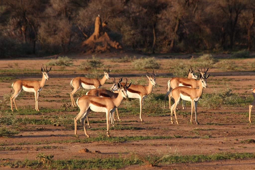 Haasenhof Gastefarm Βίλα Okahandja Εξωτερικό φωτογραφία
